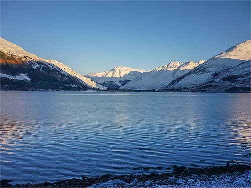 The view along the shoreline opposite the cottage.